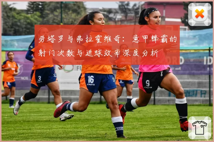 劳塔罗与弗拉霍维奇：意甲锋霸的射门次数与进球效率深度分析