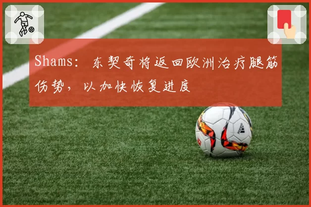 Shams:东契奇将返回欧洲治疗腿筋伤势,以加快恢复进度