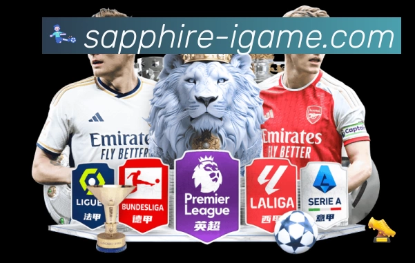 安全使用与支持流程